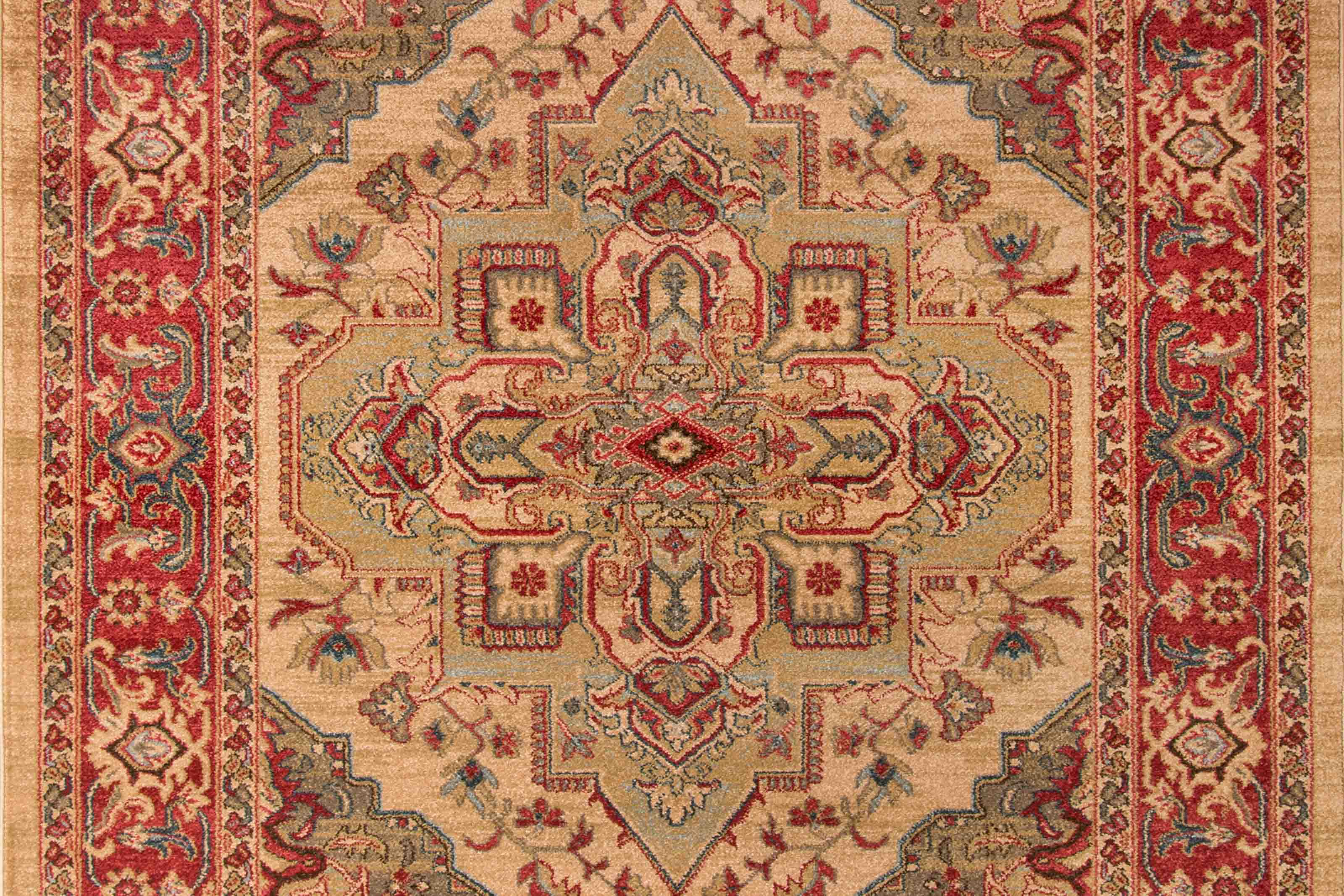 ECARPET Lux Traditional Area Rug for Living Room, Bedroom, Dining Entrance, Hallway and More.