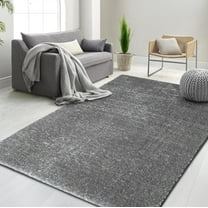 HR Plush Carbon Solid Color Shag Rug - Thick Pile, High-End, Soft & Cozy Floor Carpet for Bedroom & Living Room