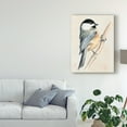 thumbnail image 3 of Trademark Fine Art 'Little Bird on Branch II' Canvas Art by Jennifer Paxton Parker, 3 of 4