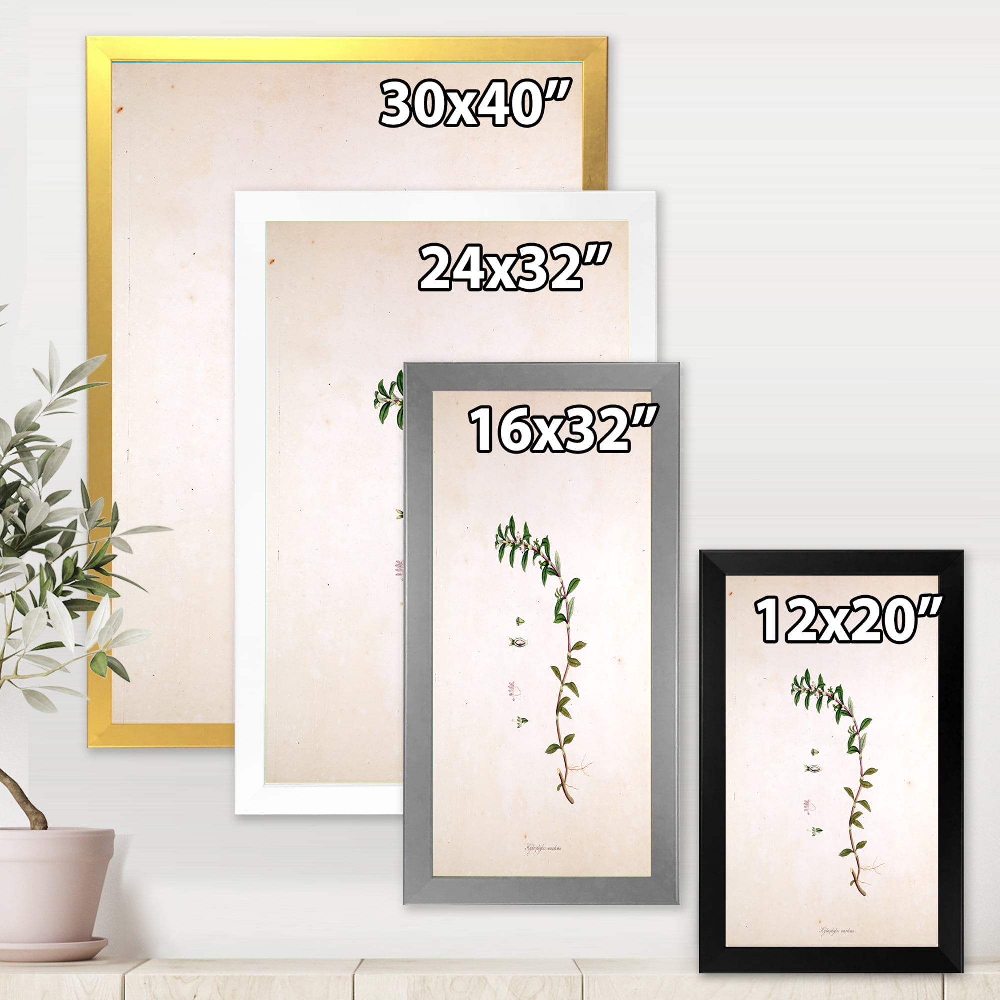 Designart 'Ancient London Plants II' Farmhouse Framed Art Print
