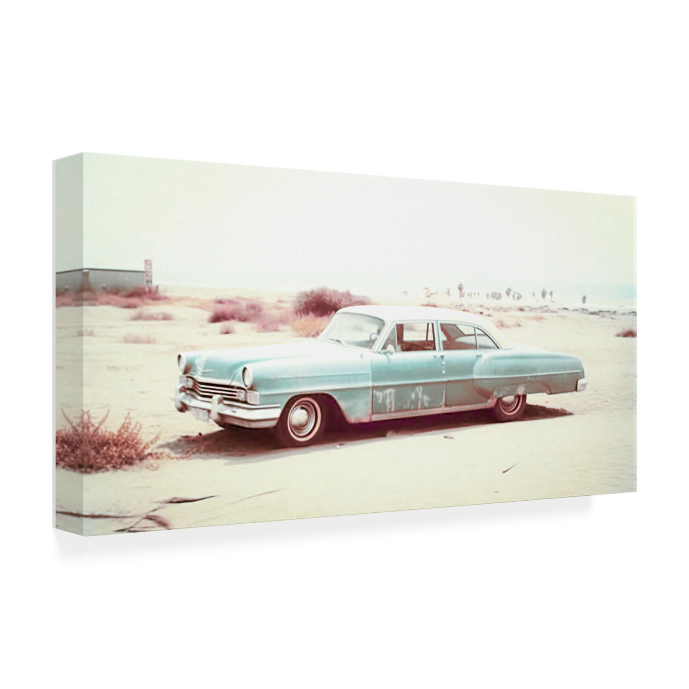 Canvas Wall Art - Decent Exposures 'Riding with Tommy' Wall Art for Living Room, Bedroom, or Office Décor by Trademark Fine Art - 47 x 24 Inches