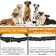 thumbnail image 5 of Correa elastica deportiva para perro chico y mediano manos libres con bolsa cangurera para guardar celular Pets & Friends Deportivo, 5 of 7