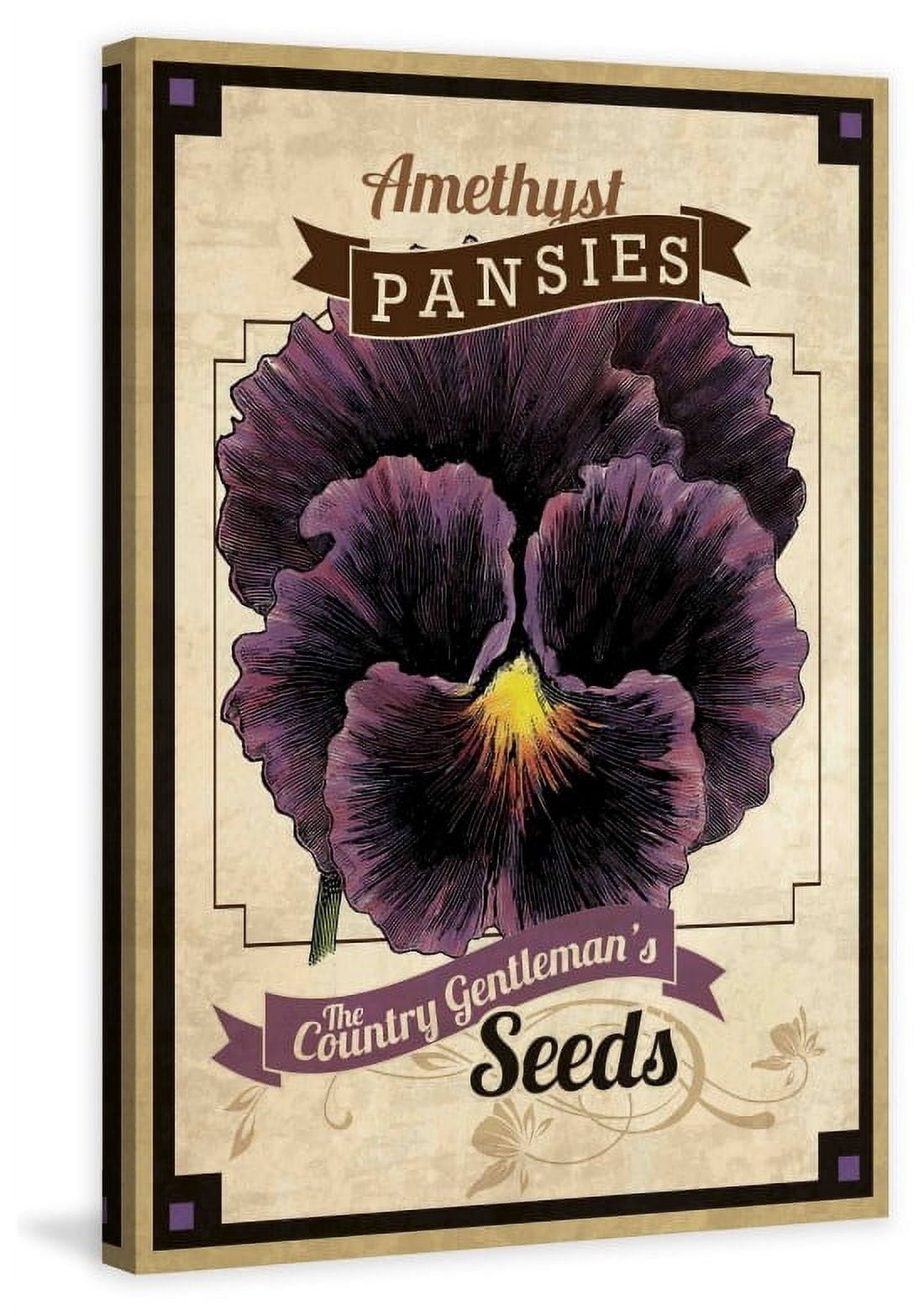 Marmont Hill "Flower Packet Pansy" Painting Print on Canvas