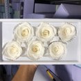 thumbnail image 3 of 6 Pcs Fleurs Artificielles Élégantes Non Fanées Fausses Roses de la Saint-Valentin, 3 of 7