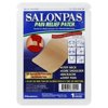 Hisamitsu Pharmaceutical Salonpas Pain Relief Patch, 1 ea