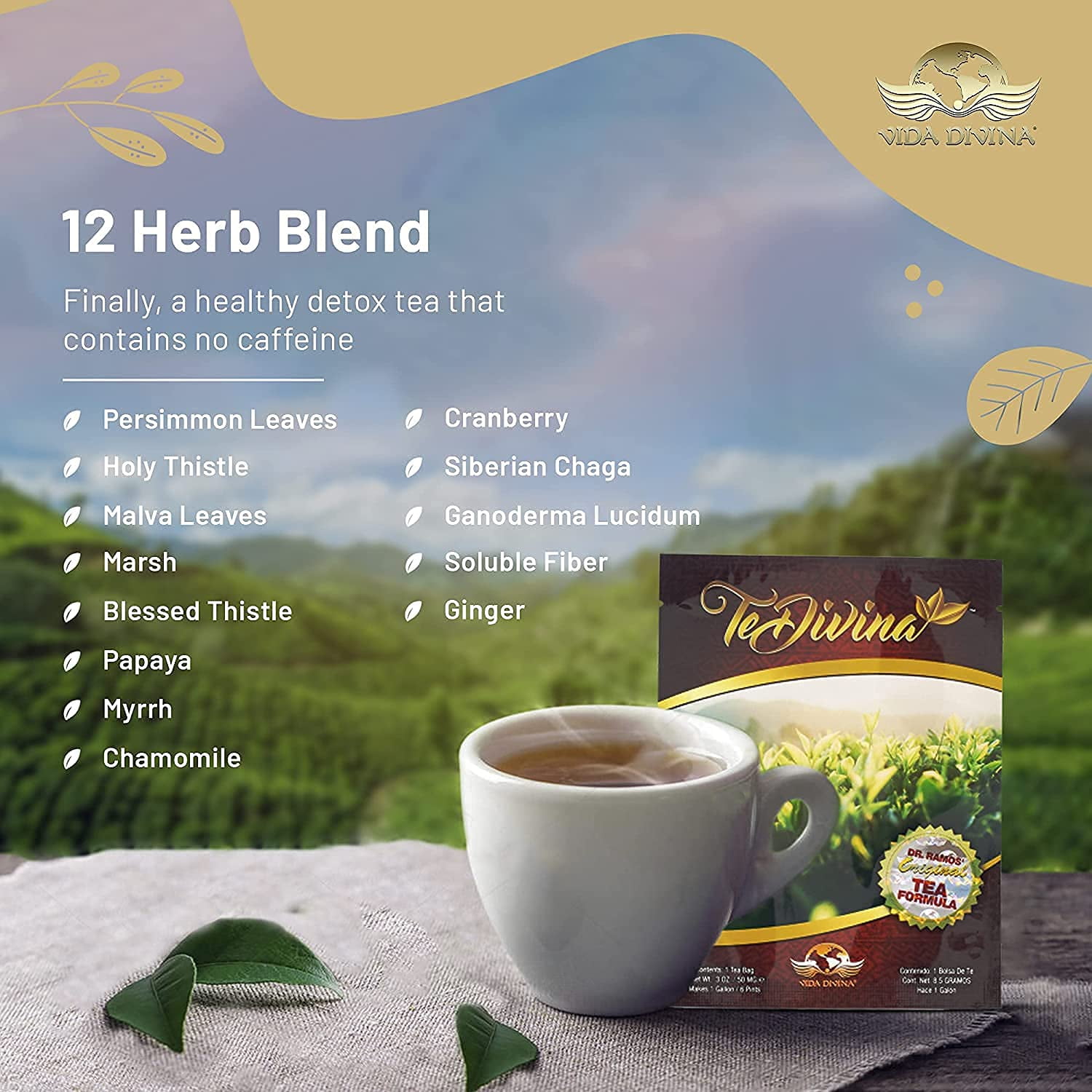TeDivina Detox Tea All Organic Healthy Cleansing Formula, Caffeine Free All Natural Colon Cleanse Digestive Tea and Body Detox, 12 Blended Herbs - Original Flavor By Vida Divina | 0.3oz (Single Pack)