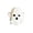 A002- White, variant on Halloween Decoration, Halloween Ghost Decorations, Squeeze Stress Toys, Relaxation Squeeze Toys, 3X2.5 in White Ghost Shape Squeeze Sensory Toys for Spooky Season