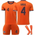 thumbnail image 1 of 2024 European Cup Netherlands Home Football Jersey No. 11 Robben 10 Memphis Replica Player Name Jersey -WEVALLEY, 1 of 2