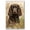 Field Spaniel, variant on Tibetan Terrier Dog Bathroom Decor - Funny Bathroom Decor Wall Art, Dog Bathroom Wall Art and Animal Canvas, Dog Bathroom Canvas