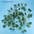 View all media