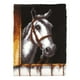 thumbnail image 1 of Kits de enganche para alfombras de 24 x 16 pulgadas con diseño de animales, hechos a mano, para manualidades. Caballo, 1 of 8
