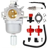 Carburetor Kit 594601 594605 697216 31P677 33R877 799256 with Filters