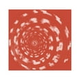 thumbnail image 2 of Phillip, Jamie 20x20 White Modern Wood Framed Museum Art Print Titled - Coral Shell, 2 of 4
