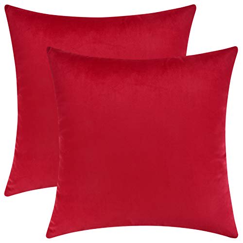 Mixhug Set of 2 Cozy Velvet Square Decorative Throw Pillow Covers for