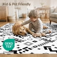 thumbnail image 4 of ODIKA 4'x6' Black Gray Geometric Crisscross Washable Area Rug Modern Handwoven Indoor Outdoor Design Pet Friendly, Non-Shedding for Bedroom, Reading Nook, 4 of 7
