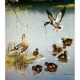 thumbnail image 2 of Mallards Poster Print by  Edward Matthew Ward  (12 x 12), 2 of 2