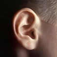 thumbnail image 4 of 300 Pcs Patch d'Acupuncture Auriculaire Auriculothérapie Auriculaire, 4 of 8