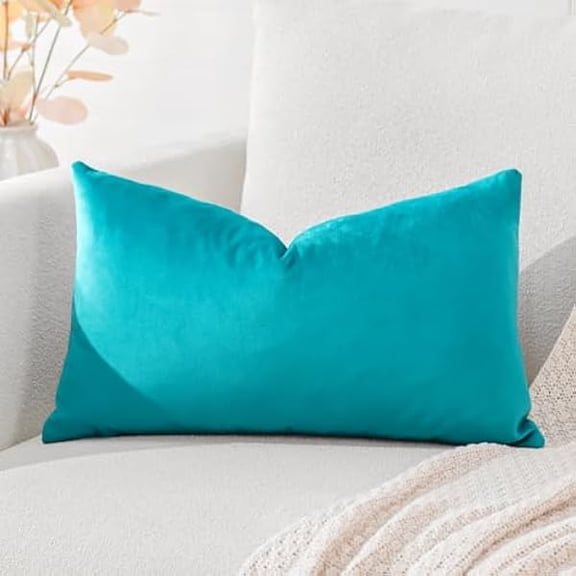 Eryueer Luxury Velvet Cushion Covers Super Soft Decorative Throw Pillow Covers Case Lumbar Cushion Cases for Sofa Couch Bedroom Car Decor 30x50cm Turquoise