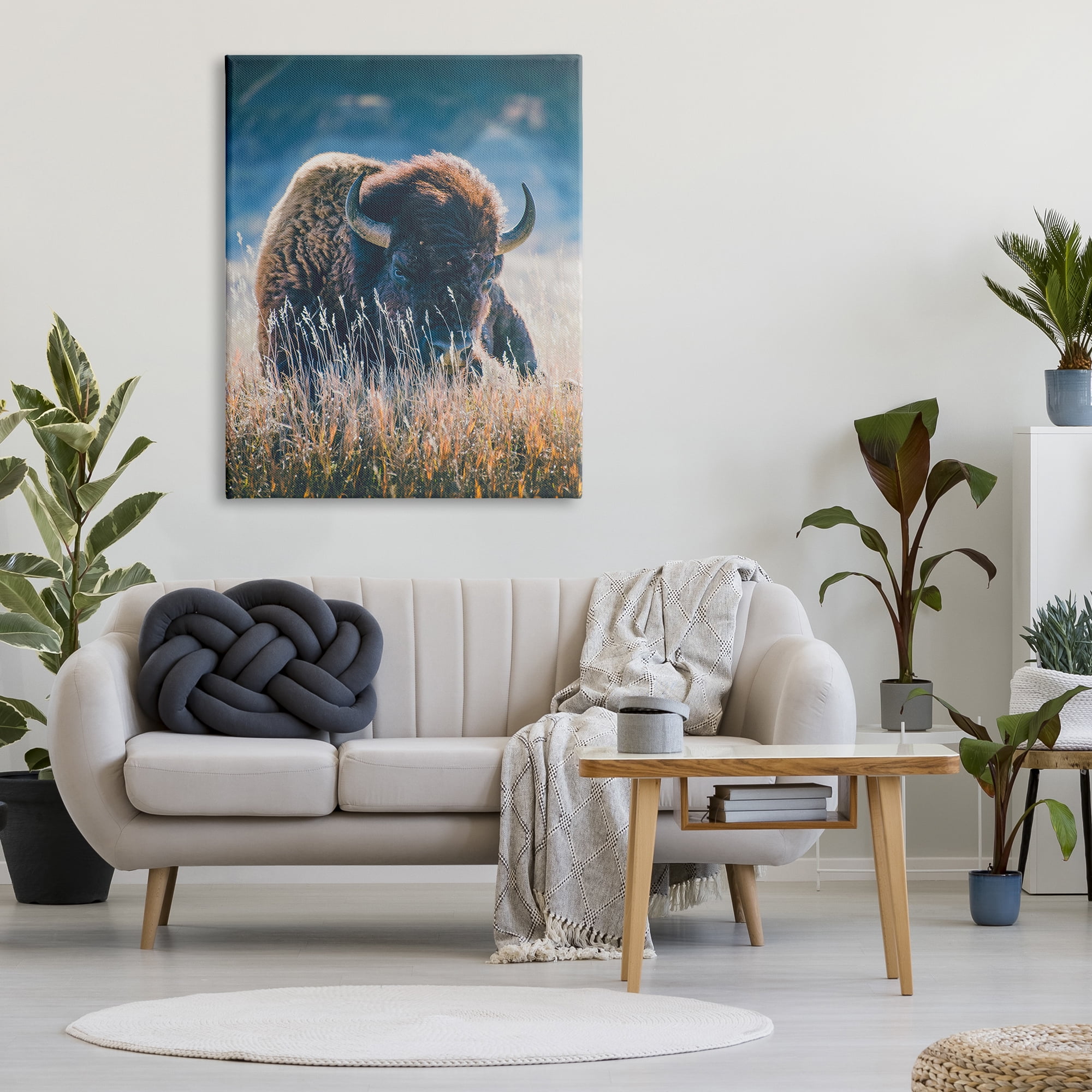 Stupell Industries Bison in Meadow Photography Animals & Insects Photography Gallery Wrapped Canvas Print Wall Art, 36 x 48