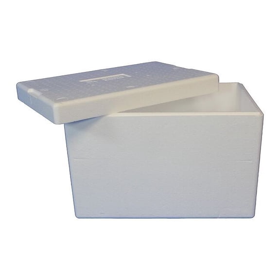 Insulated Overnight Shipping Foam & Carton, 1-2 Day, Length: 22-3/4" ON50C