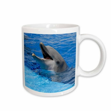 

3dRose Dolphin with its mouth open at Oceanographic Aquarium in Valencia Spain Ceramic Mug 11-ounce