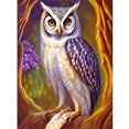 thumbnail image 1 of Diamond Painting 5D DIY Full Round Drill Owl Kit Arte Decoración del hogar (B6085) Hugtrwg Para estrenar, 1 of 9