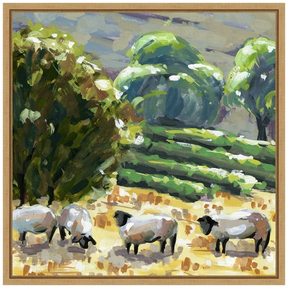 Amanti Art Sheep in Summer I Framed Canvas Wall Art Print