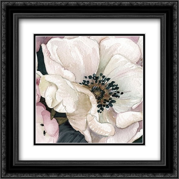 Anemone Study III 2x Matted 20x20 Black Ornate Framed Art Print by Robinson, Carol