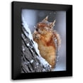 thumbnail image 1 of Kobakci, Ervin 11x14 Black Modern Framed Museum Art Print Titled - winter, 1 of 5