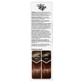 thumbnail image 3 of Clairol Color Gloss Up Semi Permanent Toning Color Hair Dye, Warm Caramel Brownie, 4.3 oz, 3 of 9