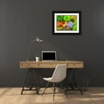 thumbnail image 3 of Grayscale 14x12 Black Ornate Wood Framed with Double Matting Museum Art Print Titled - Succulent Garden I, 3 of 4