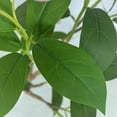 thumbnail image 5 of QinaQin Artificial Flower Tree Artificial Potted Interior Large Fruit, Suitable, 5 of 8