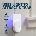 thumbnail image 7 of BANIRO 2026 New Indoor Fly Trap Gnat Traps for House Indoor - 1 Trap, 2 Glue Cards, for Kitchens, Living Rooms, Bedrooms, Offices, Indoor Spaces, 7 of 7