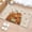 Light Beige, variant on Hallway Runner Rug 2x6 Ft, Thanksgiving Fall Non Slip Area Rugs for Entryway, Pumpkin Harvest Orange Maple Leaf Rustic Washable Low Pile Accent Carpet for Indoor Corridor Laundry Kitchen Bedside