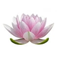 thumbnail image 2 of White Lotus Flower Wall Decal Sticker, Wallmonkeys Peel & Stick Vinyl Graphic (18 in W x 11 in H), 2 of 4