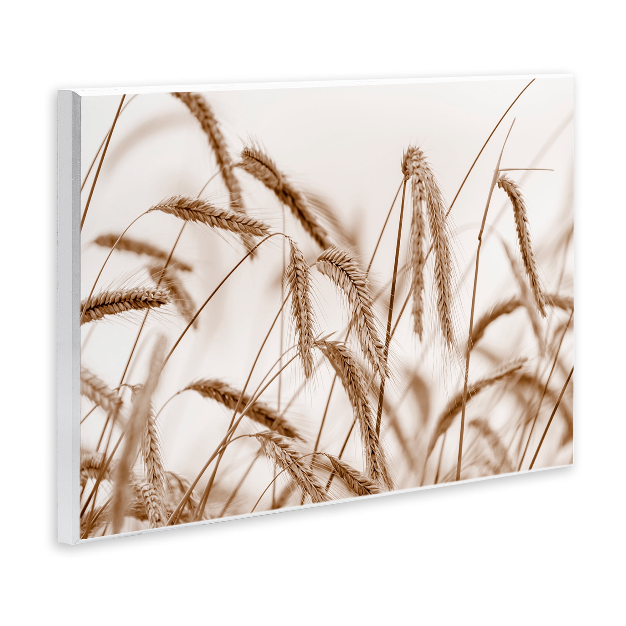 Stupell Industries Windswept Wheat Sprigs Plants & Flowers Photography Unframed Art Print Wall Art, 19 x 13