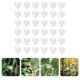 thumbnail image 1 of unbranded 100Ud Clip De Injerto Para Plantas Soporte Vertical Para Cultivos Material Plástico, 1 of 8