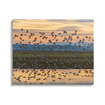 Stupell Industries Flock of Birds Flying Lake Reflection Orange Sunset Painting Gallery Wrapped Canvas Print Wall Art, Design by Nancy Crowell