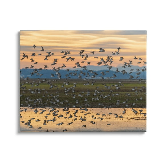 Stupell Industries Flock of Birds Flying Lake Reflection Orange Sunset Painting Gallery Wrapped Canvas Print Wall Art, Design by Nancy Crowell