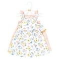 thumbnail image 2 of Hudson Baby Girls Cotton Dresses, Soft Butterfly Floral, 4T, 2 of 4