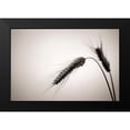 thumbnail image 2 of Steger, Uwe 18x13 Black Modern Framed Museum Art Print Titled - Sommertraum V, 2 of 5