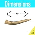 thumbnail image 3 of hotspot pets Premium Elk Antlers for Dogs, Naturally Shed Elk Antlers, All Natural Elk Antler Dog Chew Rawhide Alternative Made in USA - for Aggressive Chewers (Small), 3 of 7