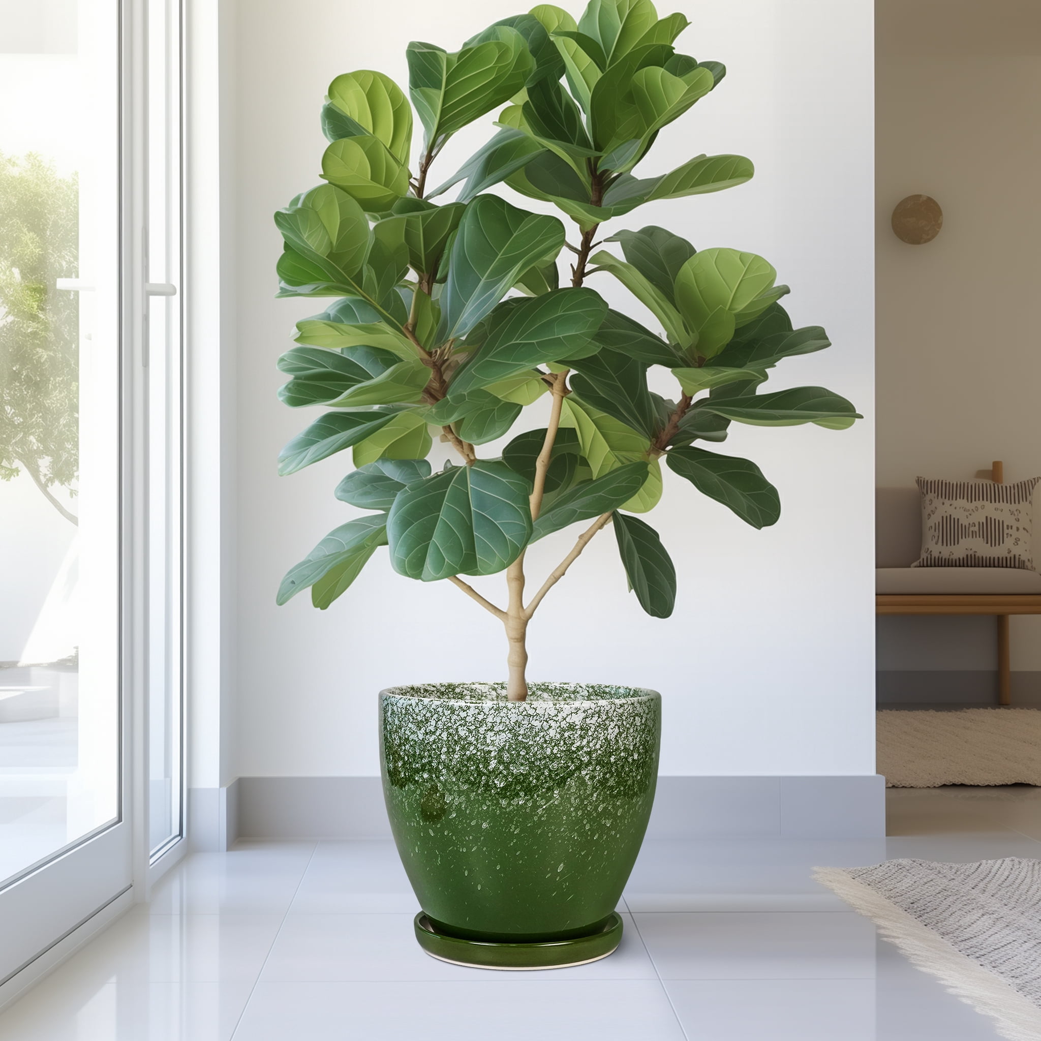 Ordivic 10 inch Large Round Ceramic Planter with Drainage Hole & Saucer, Blackish Green Floor Plant Pot for Fiddle Leaf Fig & Monstera