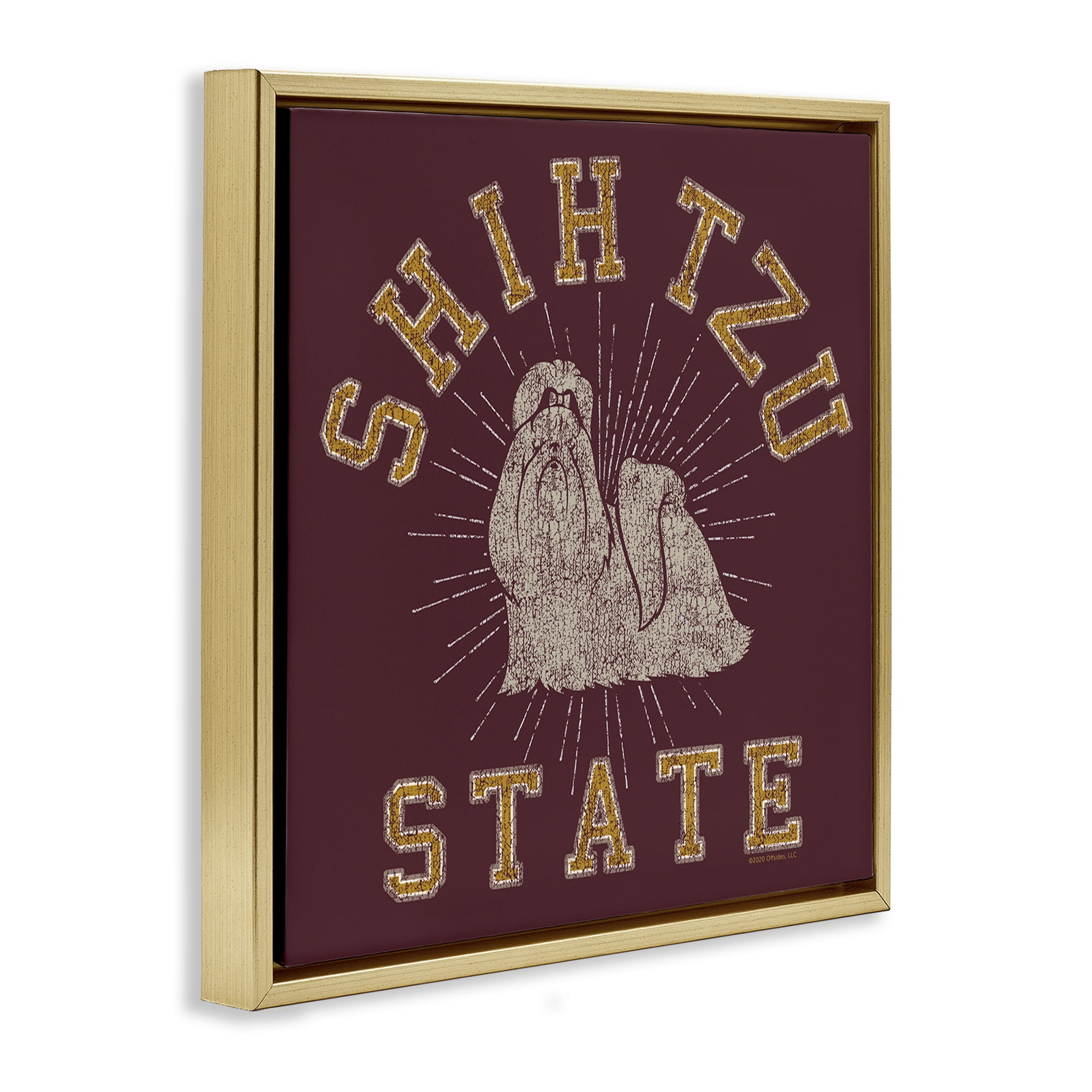 Stupell Industries Shih Tzu State Varsity Novelty & Humor Painting Gold Floater Framed Canvas Art Print Wall Art, 18 x 18