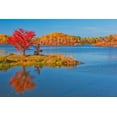 thumbnail image 2 of Jaynes Gallery 24x17 Gold Ornate Wood Framed with Double Matting Museum Art Print Titled - Canada-Ontario-Worthington Red maple tree reflects in St Poithier Lake, 2 of 4