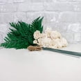 thumbnail image 6 of Romance Mini Bouquet, 6 of 6
