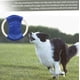 thumbnail image 4 of juguetes de entrenamiento para perros Frisbee de algodón azul resistente a mordeduras para mascotas, 4 of 5