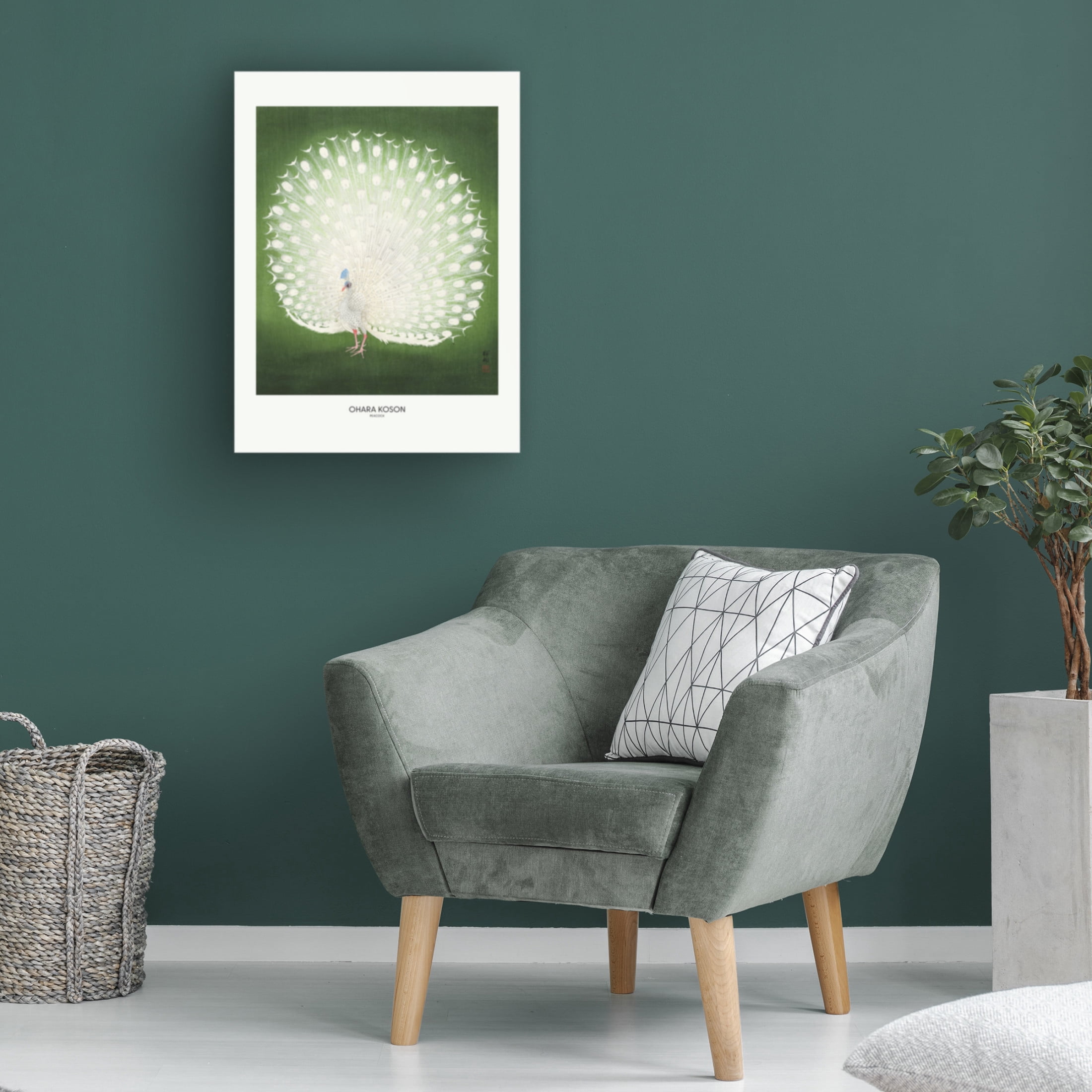 Trademark Fine Art Pictufy Peacock Wide Canvas Wall Art