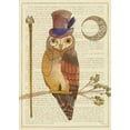 thumbnail image 2 of DeNeige, Elyse 14x18 White Modern Wood Framed Museum Art Print Titled - Steampunk Owl II, 2 of 4