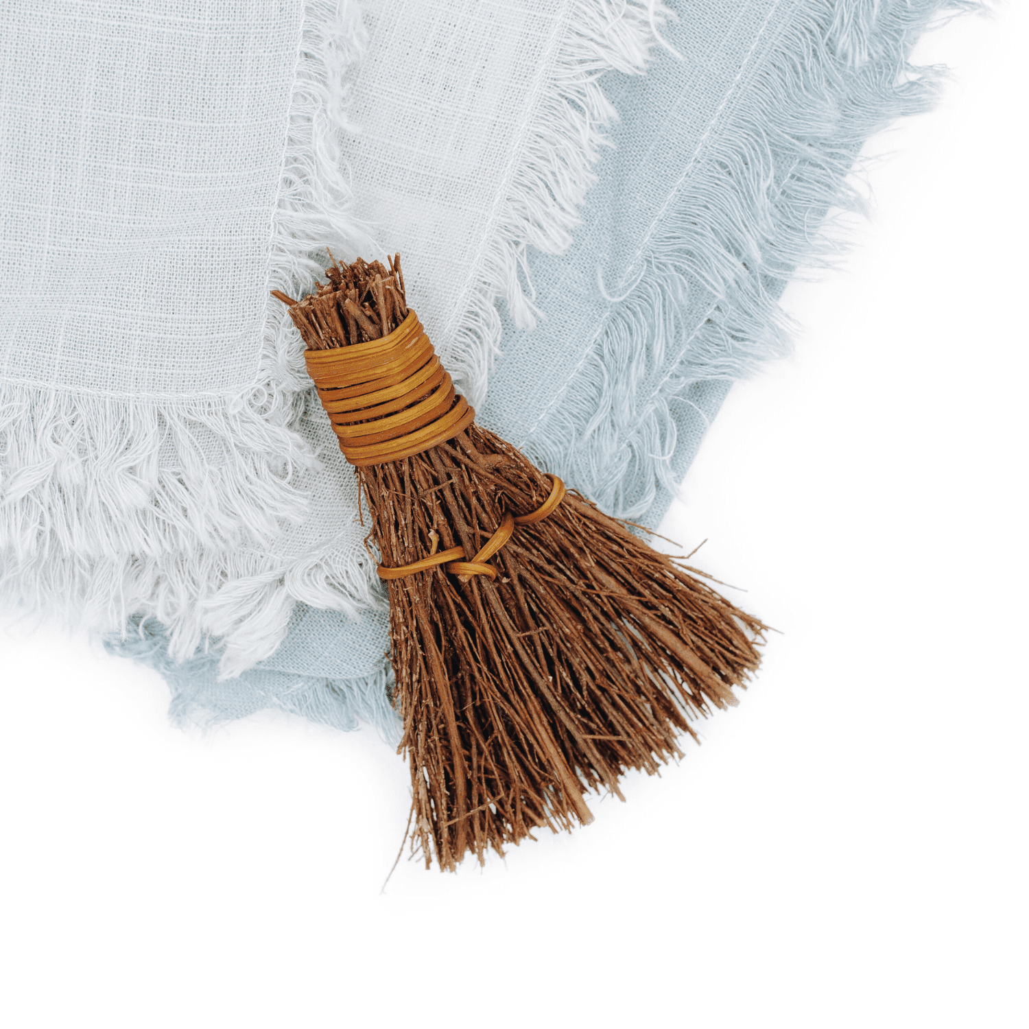 Are Cinnamon Brooms Safe For Dogs